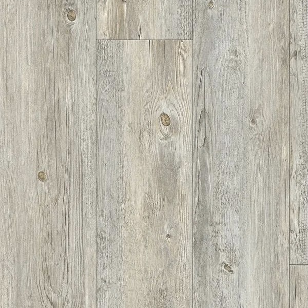 Jungle Pine