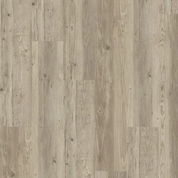 Emerald Pine
