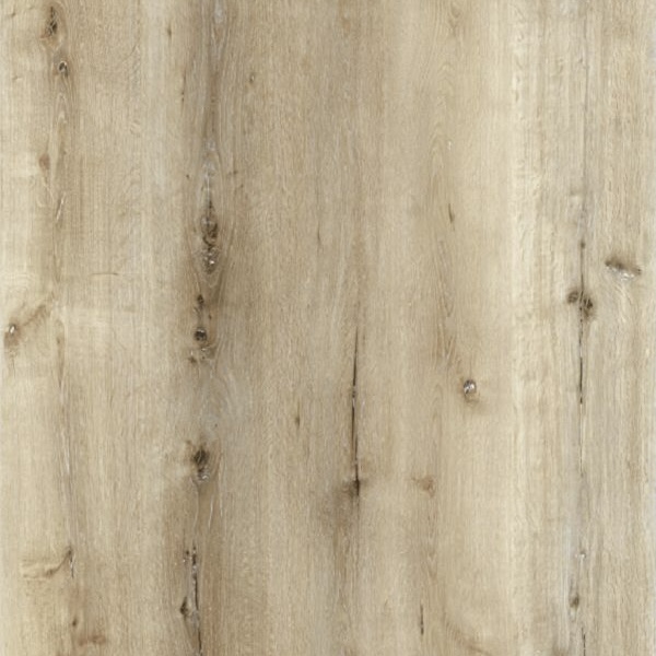IMG_0586 Spiced Oak